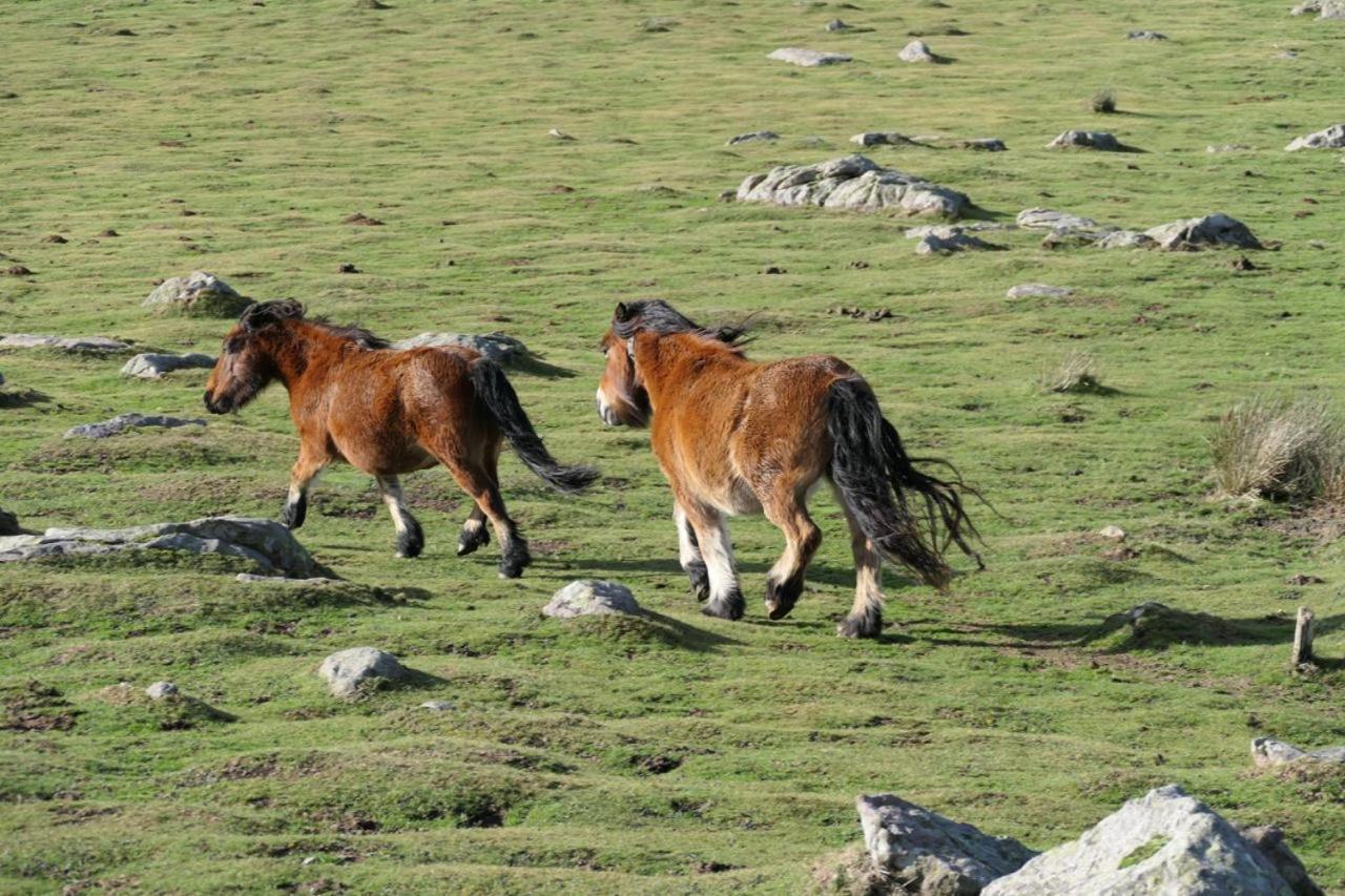 Eyhera Perkain Aldudes Dış mekan fotoğraf